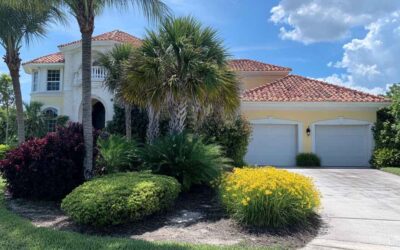 Palm Tree Trimming in Daytona Beach, FL