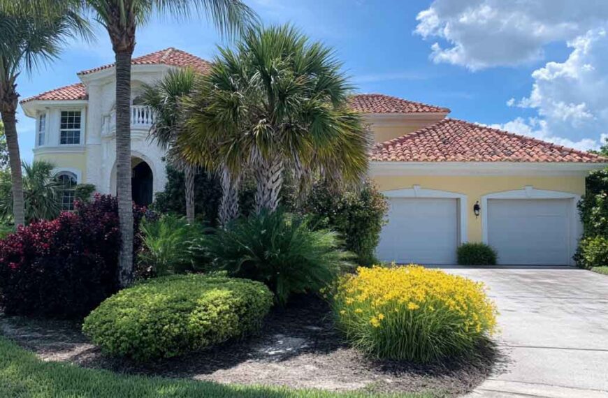 Palm Tree Trimming in Daytona Beach, FL | Tree Trimming Services in Daytona Beach, FL | Florida Foliage | Tree Removal | Storm Preparation