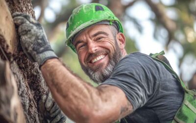 Tree Pruning in Daytona Beach, FL | Pro Tree Care