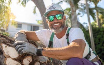 Affordable Tree Removal in Central FL