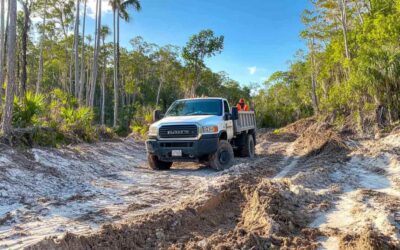 Land Clearing Help in Daytona Beach, FL
