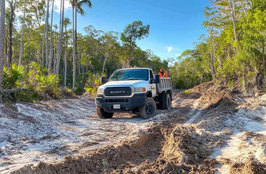 Land Clearing Help in Daytona Beach, FL | Tree Trimming Services in Daytona Beach, FL | Florida Foliage | Tree Removal | Storm Preparation in FL