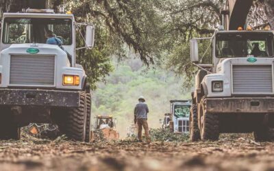 Land Clearing Services in Central FL
