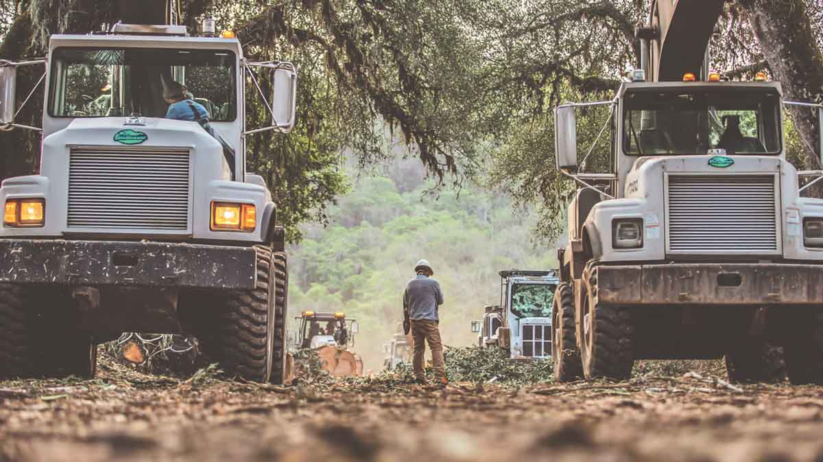 Land-Clearing-Services-in-Central-FL Land Clearing Services in Central FL | Affordable & Safe | Tree Trimming Services in Daytona Beach, FL | Florida Foliage | Tree Removal | Storm Tree Prep in Central FL