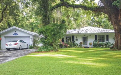 Remove Hazardous Trees in Central FL