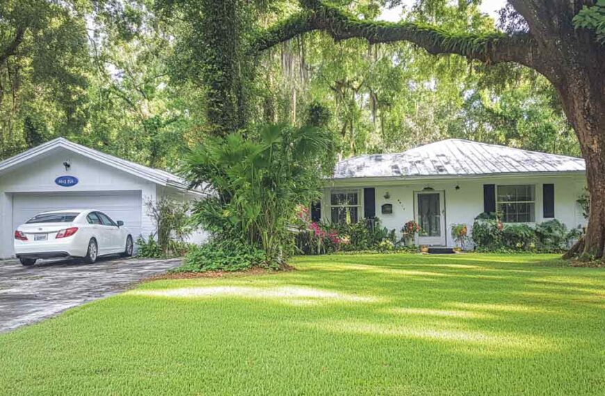 Remove Hazardous Trees in Central FL | Tree Trimming Services in Daytona Beach, FL | Florida Foliage | Tree Removal | Storm Tree Prep in Central FL