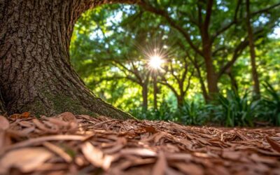 Residential Tree Cutting Services in Daytona Beach, FL