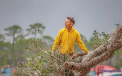 Residential Tree Services in Central FL