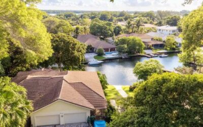 Residential Tree Trimming for Daytona Beach FL Homeowners