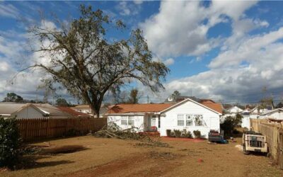 Spring Emergency Tree Removal Sanford, FL