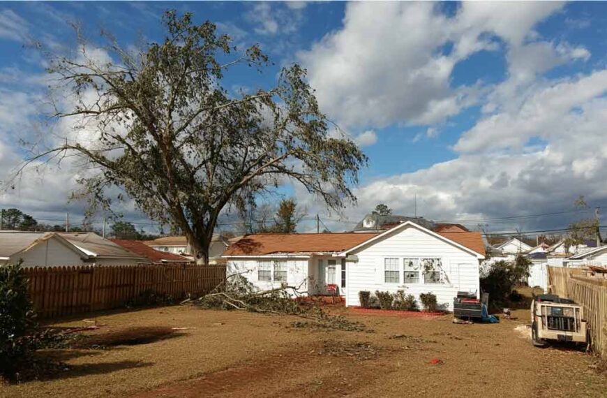 Spring Emergency Tree Removal Sanford, FL | Tree Trimming Services in Daytona Beach, FL | Florida Foliage | Tree Removal | Storm Tree Prep in Central FL