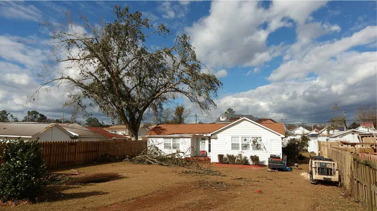 Spring Emergency Tree Removal Sanford, FL | Tree Trimming Services in Daytona Beach, FL | Florida Foliage | Tree Removal | Storm Tree Prep in Central FL