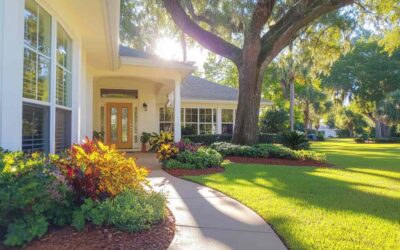 Tree Trimming in Sanford, FL for Spring