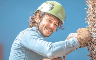 Trusted Arborists Available in Central FL