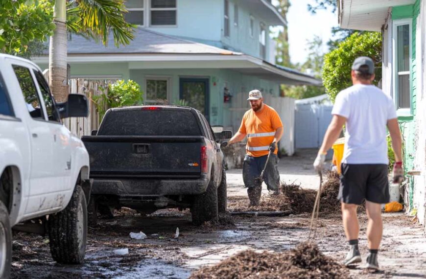 Yard Clearing Pros in Daytona Beach, FL | Tree Trimming Services in Daytona Beach, FL | Florida Foliage | Tree Removal | Storm Preparation in FL