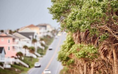 Emergency Hurricane Tree Services in Daytona Beach, FL