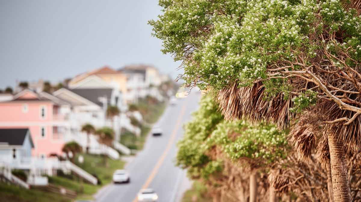 Emergency-Hurricane-Tree-Services-in-Daytona-Beach,-FL Emergency Hurricane Tree Services in Daytona Beach, FL | Tree Trimming Services in Daytona Beach, FL | Florida Foliage | Tree Removal | Storm Tree Prep in Central FL
