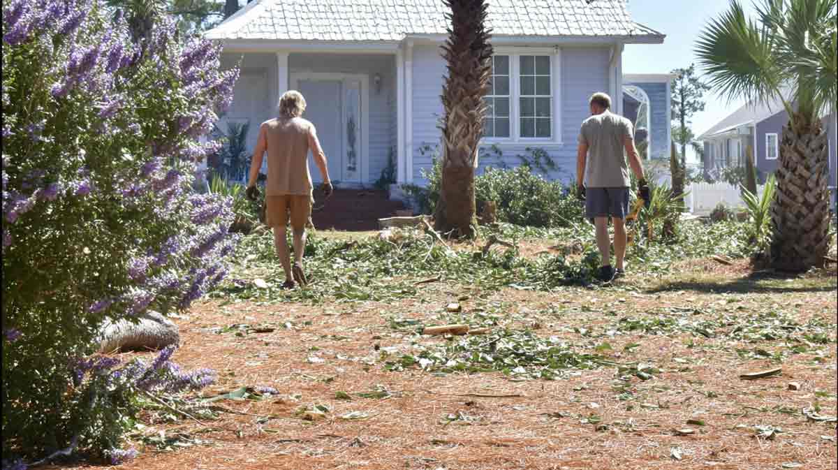 Hurricane-Tree-Debris-Cleanup-in-Daytona-Beach,-FL Hurricane Tree Debris Cleanup in Daytona Beach, FL | Tree Trimming Services in Daytona Beach, FL | Florida Foliage | Tree Removal | Storm Tree Prep in Central FL