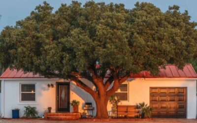 Residential Tree Service Near Me in Daytona Beach, FL