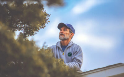 Storm Prep Tree Services Central FL | Be Ready