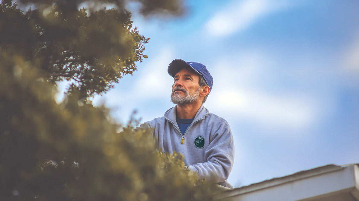 Storm-Prep-Tree-Services-Central-FL-_-Be-Ready Storm Prep Tree Services Central FL | Be Ready | Tree Trimming Services in Daytona Beach, FL | Florida Foliage | Tree Removal | Storm Tree Prep in Central FL