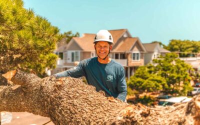 Tree Removal Orange City FL | Licensed & Insured