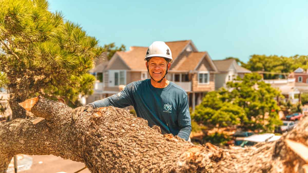Tree-Removal-Orange-City-FL-_-Licensed-&-Insured Tree Removal Orange City FL | Licensed & Insured | Tree Trimming Services in Daytona Beach, FL | Florida Foliage | Tree Removal | Storm Tree Prep in Central FL