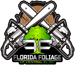 Florida Foliage