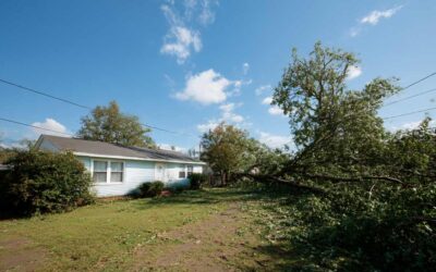 Hurricane Tree Damage Removal Central Florida