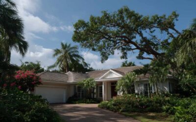 Local Tree Services Near Me in Daytona Beach, FL