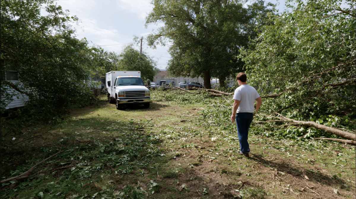 Tree Removal Service Daytona Beach, FL | Tree Trimming Services in Daytona Beach, FL | Florida Foliage | Tree Removal | Storm Tree Prep in Central FL