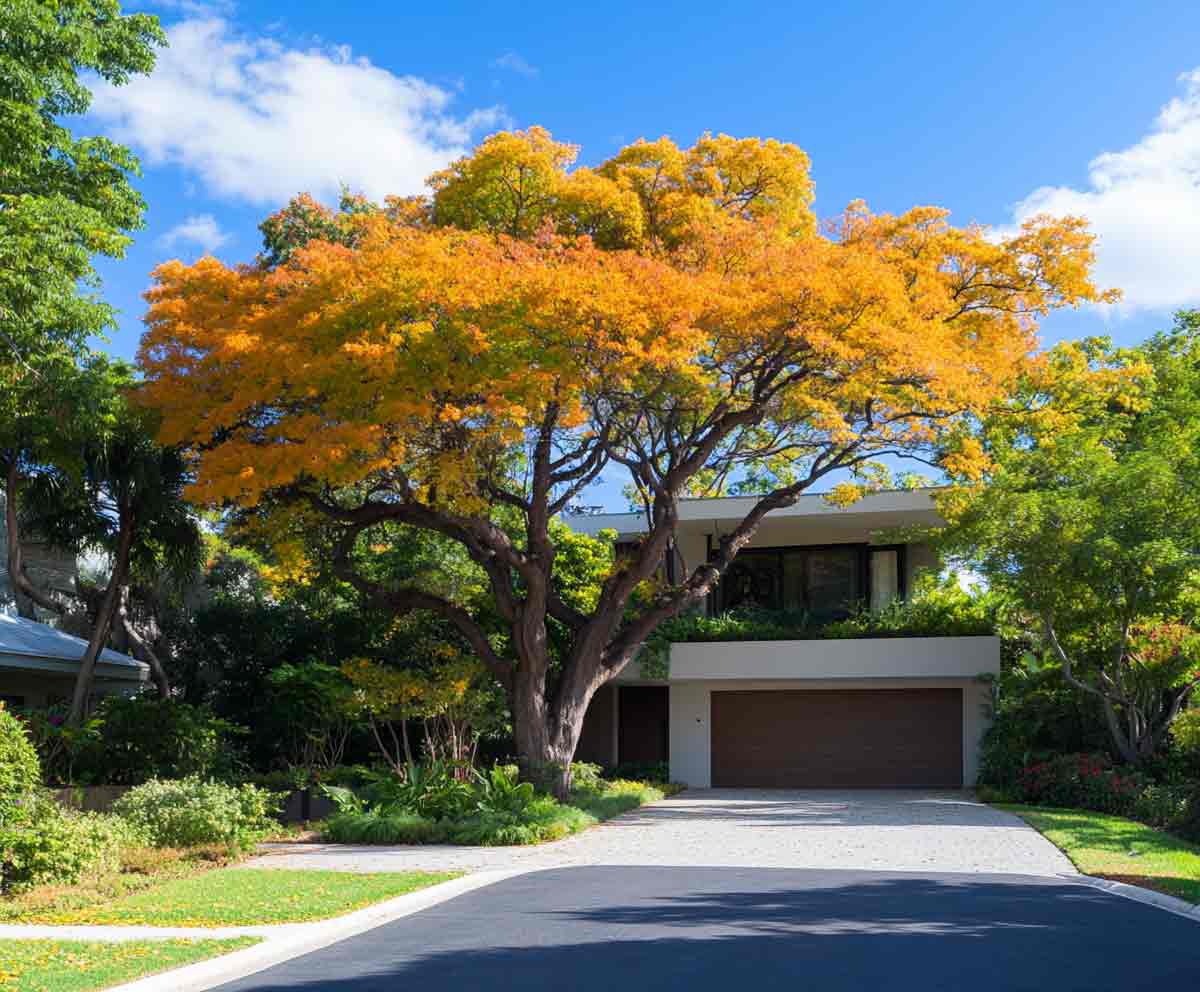 sleuthdesigner_beautiful_trees_in_yard_fl_--ar_65_--profile_a_7bccdc1d-18d1-4fa1-93e9-81757989e983_2 Florida Foliage