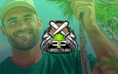 Emergency Tree Services in Daytona Beach, FL