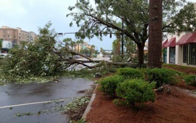 Storm Cleanup Port Orange FL for Plazas