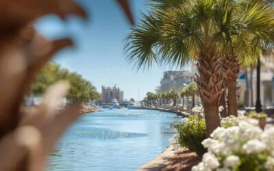 Tree Removal Ponce Inlet FL for Businesses