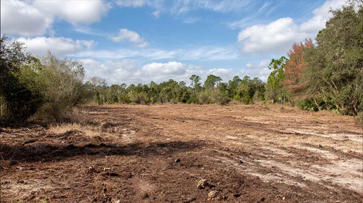 Root Excavation Orange City FL for Utilities | Florida Foliage | Tree Removal | Storm Tree Prep in Central FL