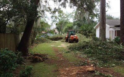 Yard Clearing New Smyrna FL for Home Projects