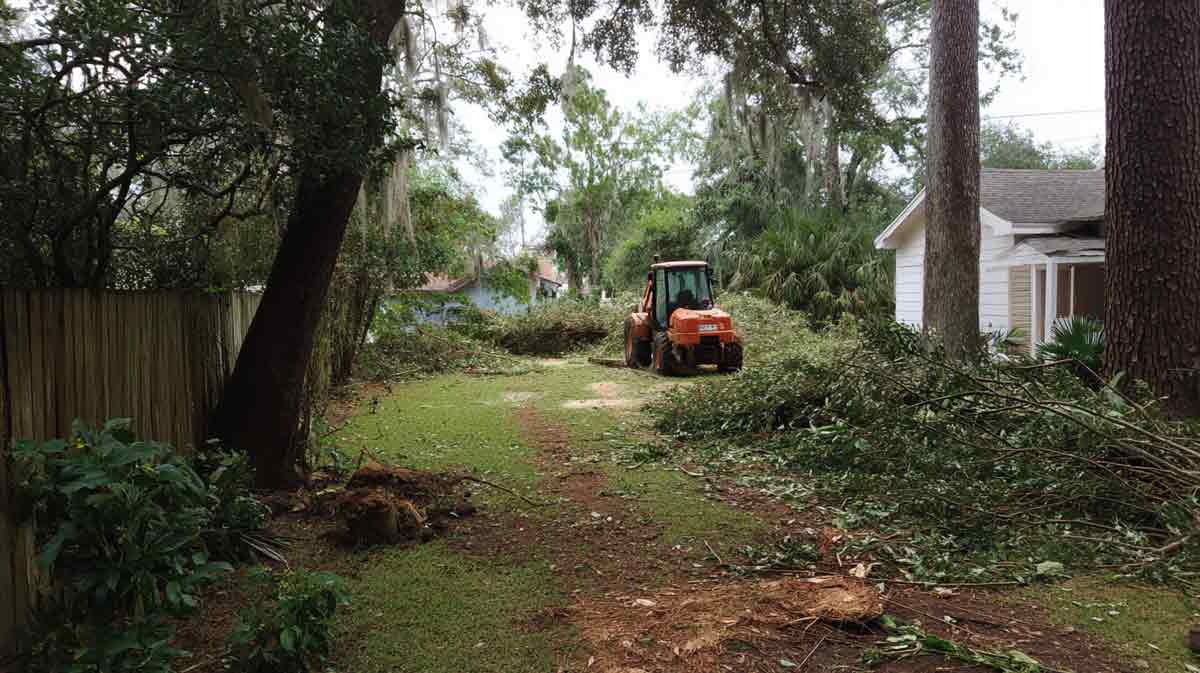Yard-Clearing-New-Smyrna-FL-for-Home-Projects Yard Clearing New Smyrna FL for Home Projects | Florida Foliage | Tree Removal | Storm Tree Prep in Central FL