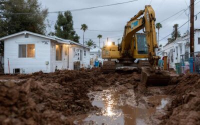Root Excavation Orange City, FL