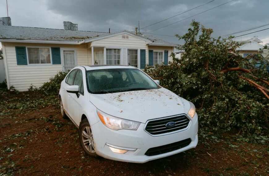 Storm Cleanup Bunnell, FL for Commercial Sites | Tree Trimming Services in Daytona Beach, FL | Florida Foliage | Tree Removal | Storm Tree Prep in Central FL