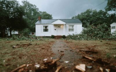 Tree Cleanup After Storms in Lake Helen, FL