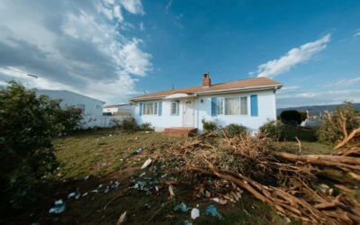 Yard Clearing Glenwood, FL for Outdoor Projects