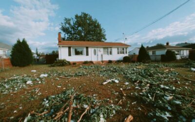 Yard Clearing in New Smyrna, FL Homes