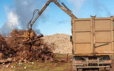 Top Grapple Truck Services in Daytona Beach, FL