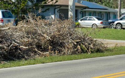 Top Tree Debris Removal in Daytona Beach, FL