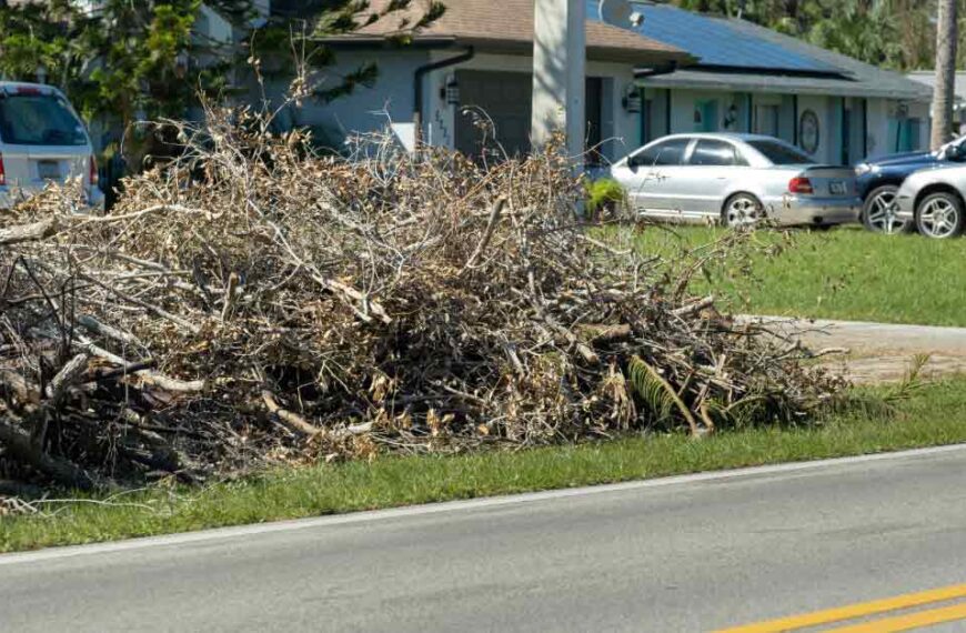 Top Tree Debris Removal in Daytona Beach, FL | Tree Trimming Services in Daytona Beach, FL | Florida Foliage | Tree Removal | Storm Tree Prep in Daytona Beach, FL