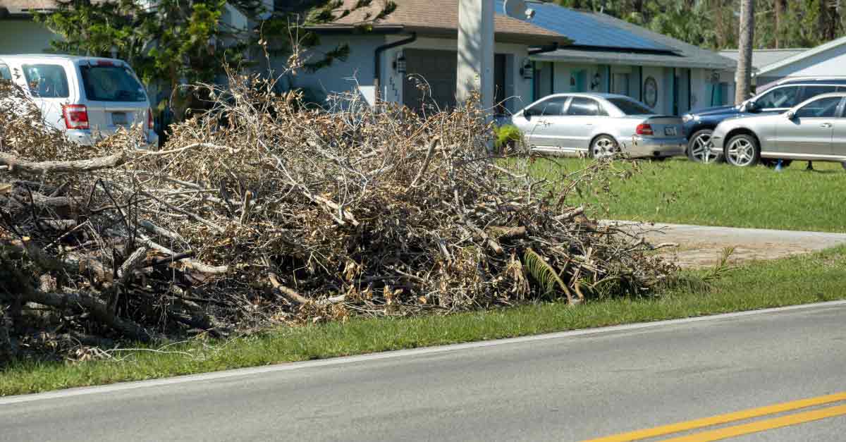 Top-Tree-Debris-Removal-in-Daytona-Beach,-FL Top Tree Debris Removal in Daytona Beach, FL | Tree Trimming Services in Daytona Beach, FL | Florida Foliage | Tree Removal | Storm Tree Prep in Daytona Beach, FL