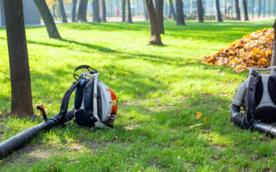 Residential Tree Services in Port Orange FL