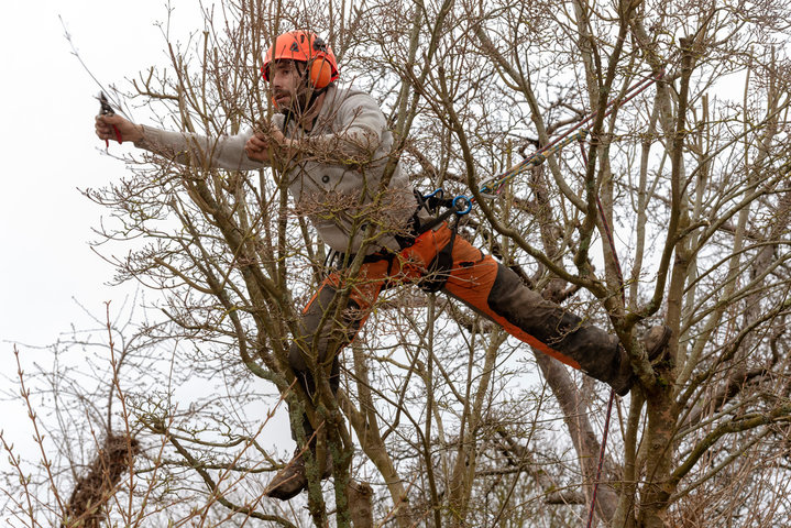 Tree Maintenance Services in New Smyrna Beach FL | Tree Trimming Services in Daytona Beach, FL | Florida Foliage | Tree Removal | Storm Tree Prep in Daytona Beach, FL